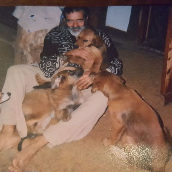 Meet your Posher, Lynn - Picture 1 of 1